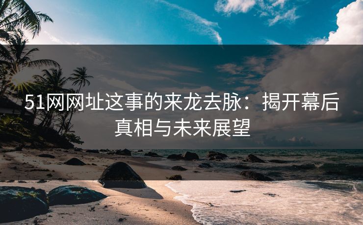 51网网址这事的来龙去脉:揭开幕后真相与未来展望 51网网址这事的来龙去脉:揭开幕后真相与未来展望